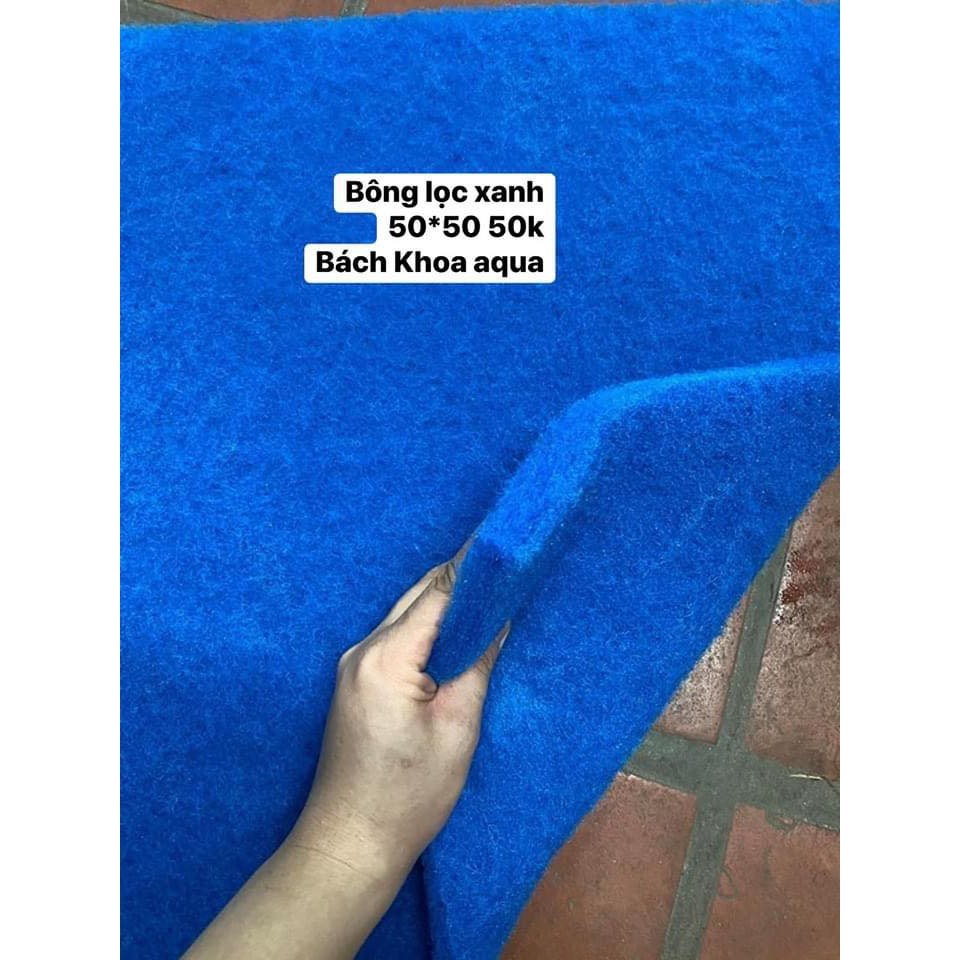 Bông lọc xanh 50x50cm